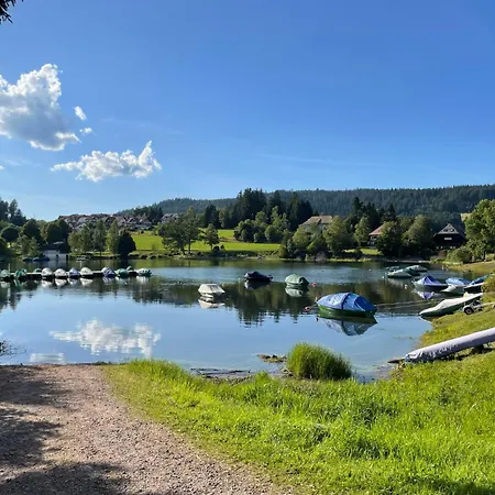 Habsberg By Interhome * Schluchsee