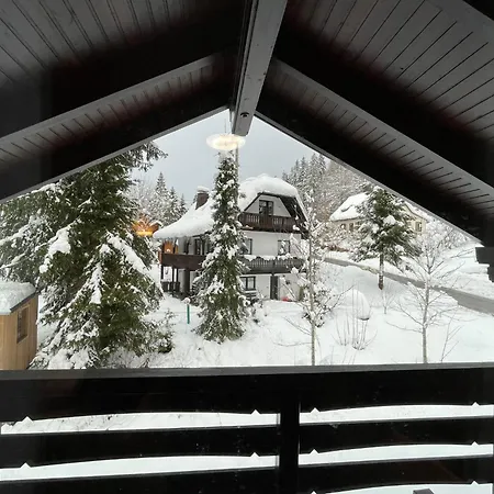 Habsberg By Interhome Apartman Schluchsee