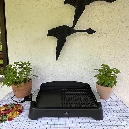 Апартаменты Habsberg By Interhome Шлухзее